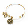 Thumbnail Image 1 of Alex and Ani Eye of Horus Charm Bangle in Gold-Tone Brass