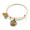 Thumbnail Image 1 of Alex and Ani U.S. Army Charm Bangle in Gold-Tone Brass