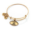 Thumbnail Image 0 of Alex and Ani Dallas Cowboys Football Charm Bangle in Gold-Tone Brass