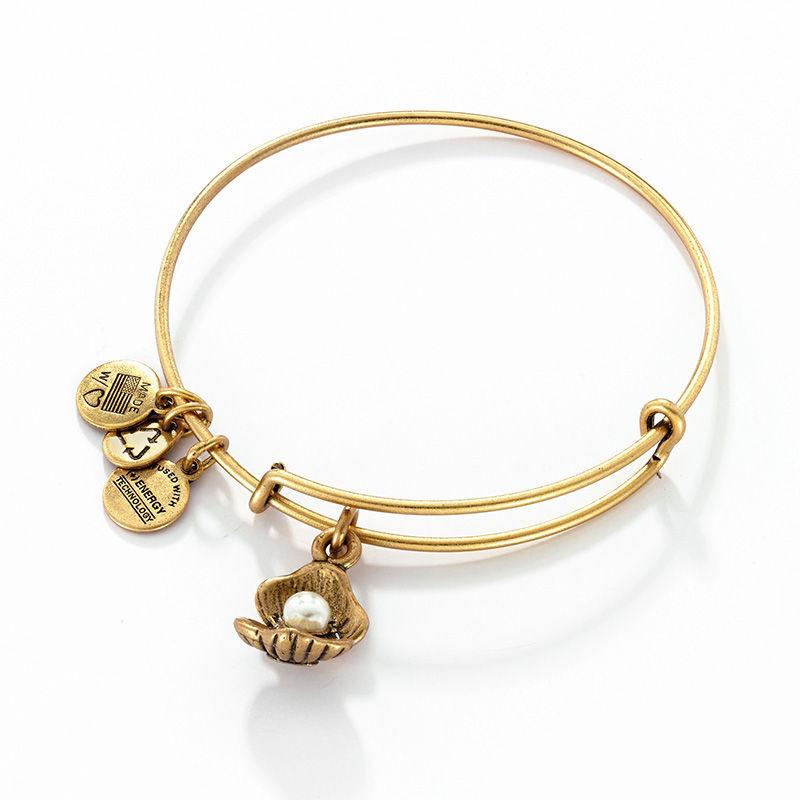 Main Image 1 of Alex and Ani Oyster Charm Bangle in Gold-Tone Brass