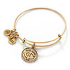 Thumbnail Image 0 of Alex and Ani Minnesota Twins Logo Charm Bangle in Gold-Tone Brass