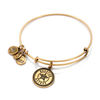 Thumbnail Image 1 of Alex and Ani Houston Astros Logo Charm Bangle in Gold-Tone Brass