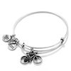 Thumbnail Image 1 of Alex and Ani Bicycle Charm Bangle in Silver-Tone Brass