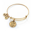 Thumbnail Image 0 of Alex and Ani Piece of the Puzzle Charm Bangle in Gold-Tone Brass