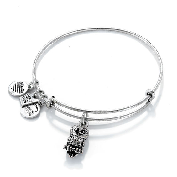 Zales Alex and Ani Ode to the Owl Charm Bangle in Silver Tone