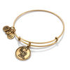 Thumbnail Image 1 of Alex and Ani Colorado Rockies Logo Charm Bangle in Gold-Tone Brass
