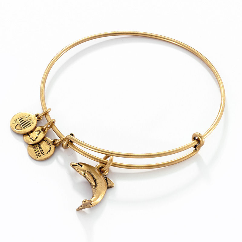 Main Image 1 of Alex and Ani Dolphin Charm Bangle in Gold-Tone Brass