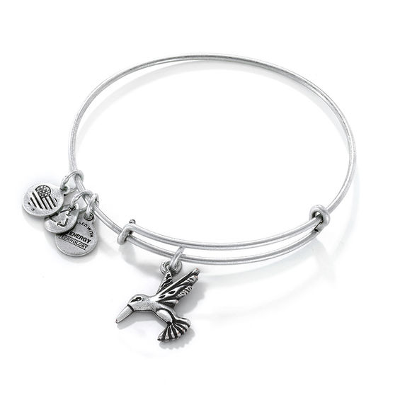 Alex and Ani Hummingbird Charm Bangle in Silver-Tone Brass