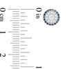 Thumbnail Image 3 of Vera Wang Love Collection 1/4 CT. T.W. Diamond and Blue Sapphire Frame Stud Earrings in 14K White Gold