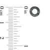 Thumbnail Image 2 of 1/20 CT. T.W. Black Diamond "O" Single Stud Earring in Sterling Silver