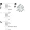 Thumbnail Image 2 of 1/2 CT. T.W. Diamond Frame Stud Earrings in 10K White Gold