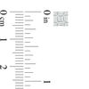 Thumbnail Image 2 of 1/4 CT. T.W. Baguette and Round Composite Diamond Stud Earrings in 10K White Gold