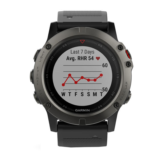 Garmin fÄnixÂ® 5X Black Strap Smart Watch (Model: 10-01733-00)