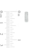 Thumbnail Image 2 of 1/6 CT. T.W. Diamond Wide J-Hoop Earrings in 10K White Gold