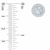 Thumbnail Image 1 of 1/3 CT. T.W. Diamond Frame Stud Earrings in 10K White Gold