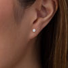1/4 CT. T.W. Diamond Solitaire Stud Earrings in 10K White Gold