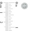 Thumbnail Image 2 of 1/2 CT. T.W. Diamond Frame Tiered Stud Earrings in 10K White Gold