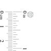Thumbnail Image 2 of 1/3 CT. T.W. Diamond Solitaire Stud Earrings in Sterling Silver