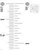 Thumbnail Image 3 of 2 CT. T.W. Certified Diamond Solitaire Stud Earrings in 14K White Gold (I/I1)