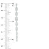 Thumbnail Image 3 of 3/4 CT. T.W. Composite Diamond Rectangular Linear Drop Earrings in 10K White Gold