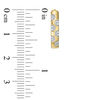 Thumbnail Image 2 of Diamond Accent Polka Dot Oval Hoop Earrings in 10K Gold