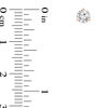 Thumbnail Image 1 of 1/3 CT. T.W. Certified Diamond Solitaire Stud Earrings in 14K Rose Gold (I/SI2)