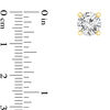 Thumbnail Image 2 of 1-3/8 CT. T.W. Certified Diamond Solitaire Stud Earrings in 14K Gold (I/VS2)