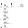 Thumbnail Image 2 of 1/3 CT. T.W.  Certified Solitaire Stud Earrings in 14K Gold (I/SI2)