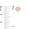 Thumbnail Image 3 of 1/4 CT. T.W. Composite Diamond Vintage-Style Stud Earrings in 10K Rose Gold