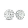 Thumbnail Image 1 of 1 CT. T.W. Diamond Raised Frame Stud Earrings in 14K White Gold