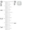 Thumbnail Image 2 of 1/2 CT. T.W. Certified Princess-Cut Diamond Frame Stud Earrings in 14K White Gold (I/SI2)