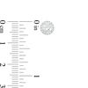 Thumbnail Image 3 of 3/4 CT. T.W. Certified Diamond Frame Stud Earrings in 14K White Gold (I/SI2)