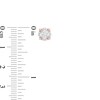 Thumbnail Image 3 of 1/5 CT. T.W. Composite Diamond Cushion Frame Flower Stud Earrings in 10K Rose Gold