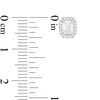 Thumbnail Image 2 of 1/2 CT. T.W. Certified Emerald-Cut Diamond Octagon Frame Stud Earrings in 14K White Gold (I/I1)