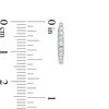 Thumbnail Image 2 of 1/4 CT. T.W. Diamond Oval Hoop Earrings in 10K White Gold