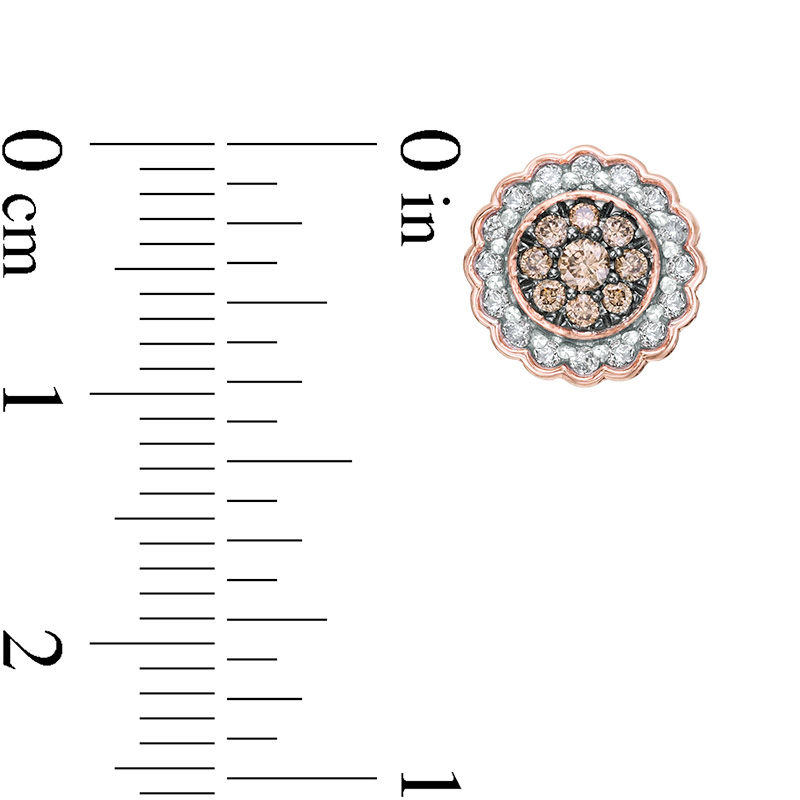 Main Image 3 of 1/2 CT. T.W. Enhanced Champagne and White Diamond Scallop Frame Stud Earrings in 10K Rose Gold