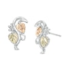 Thumbnail Image 0 of Black Hills Gold Vine Stud Earrings in Sterling Silver