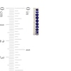 Thumbnail Image 2 of Blue Sapphire and 1/10 CT. T.W. Diamond Double Row Hoop Earrings in 10K Gold