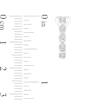 Thumbnail Image 2 of 1/4 CT. T.W. Diamond Alternating Multi-Shape Vintage-Style Hoop Earrings in 10K White Gold