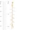 Thumbnail Image 3 of Made in Italy Linear Scatter Drop Earrings in 10K Gold