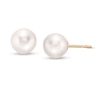 Thumbnail Image 1 of IMPERIAL® 7.5-8.0mm Akoya Cultured Pearl Stud Earrings in 14K Gold