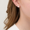 Thumbnail Image 1 of IMPERIAL® 7.5-8.0mm Cultured Akoya Pearl Stud Earrings in 14K Gold