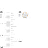 Thumbnail Image 2 of Child's 6.0mm Star-Shaped Cubic Zirconia Solitaire Stud Earrings in 14K Gold