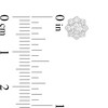 Thumbnail Image 3 of 1/2 CT. T.W. Diamond Flower Frame Stud Earrings in 10K White Gold