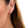 Thumbnail Image 2 of Wonder Woman™ Collection 1/15 CT. T.W. Champagne Diamond Cheetah Stud Earrings in 10K Gold and Black Rhodium