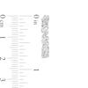 Thumbnail Image 3 of Baguette and Round Lab-Created White Sapphire Duos Alternating Hoop Earrings in Sterling Silver