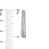 Thumbnail Image 2 of 1/2 CT. T.W. Diamond Split Triple Row Hoop Earrings in Sterling Silver