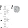 Thumbnail Image 2 of 1 CT. T.W. Certified Emerald-Cut Lab-Created Diamond Octagonal Double Frame Stud Earrings in 14K White Gold (F/SI2)