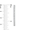 Thumbnail Image 3 of 3 CT. T.W. Certified Lab-Grown Diamond Inside-Out Hoop Earrings in 14K White Gold (F/SI2)