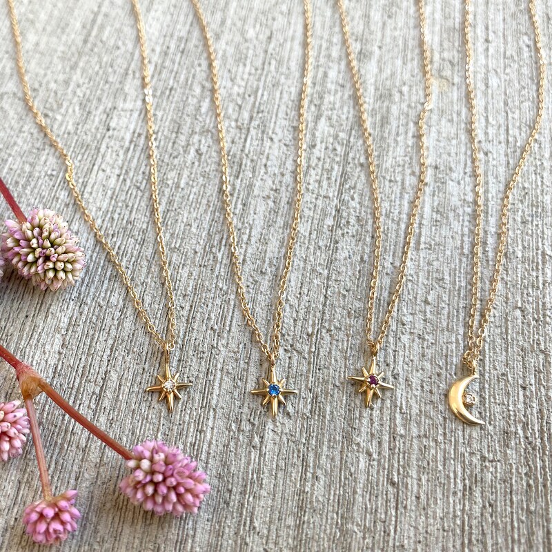 Elliot Young Ruby North Star Pendant in 14K Gold